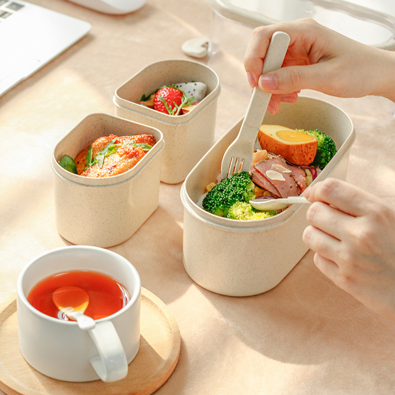 1450ML Kotak Makan Siang Tingg - Meal Prep Japanese ulasan dan harga